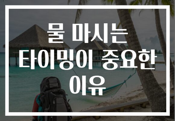 물 마시는 타이밍이 중요한 이유