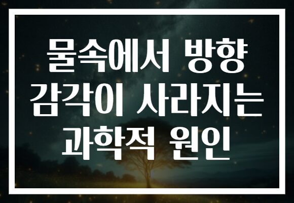 물속에서 방향 감각이 사라지는 과학적 원인 물속에서 방향 감각이 사라지는 과학적 원인