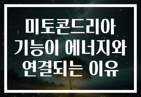 미토콘드리아 기능이 에너지와 연결되는 이유 미토콘드리아 기능이 에너지와 연결되는 이유