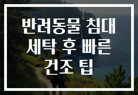 반려동물 침대 세탁 후 빠른 건조 팁 반려동물 침대 세탁 후 빠른 건조 팁