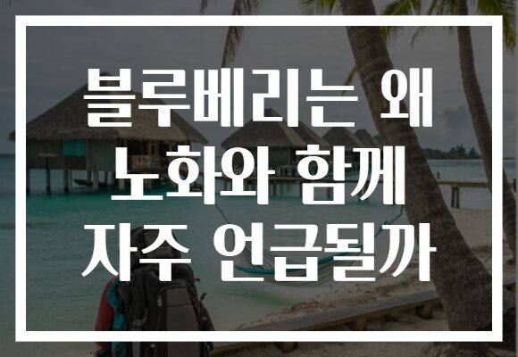 블루베리는 왜 노화와 함께 자주 언급될까 블루베리는 왜 노화와 함께 자주 언급될까