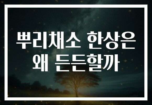 뿌리채소 한상은 왜 든든할까 뿌리채소 한상은 왜 든든할까