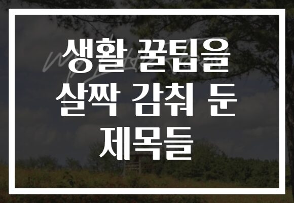 생활 꿀팁을 살짝 감춰 둔 제목들 생활 꿀팁을 살짝 감춰 둔 제목들