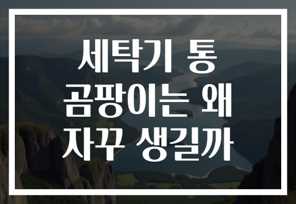 세탁기 통 곰팡이는 왜 자꾸 생길까 세탁기 통 곰팡이는 왜 자꾸 생길까