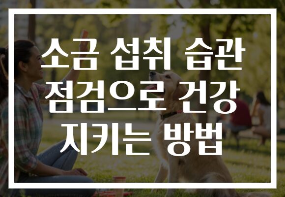 소금 섭취 습관 점검으로 건강 지키는 방법