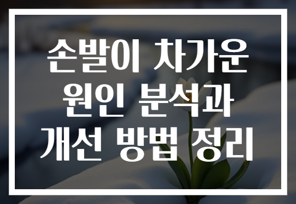 손발이 차가운 원인 분석과 개선 방법 정리