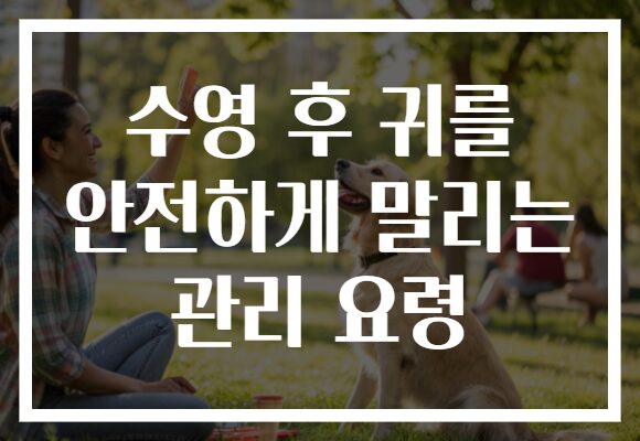 수영 후 귀를 안전하게 말리는 관리 요령