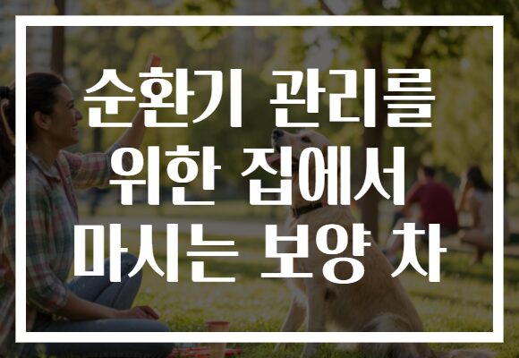 순환기 관리를 위한 집에서 마시는 보양 차