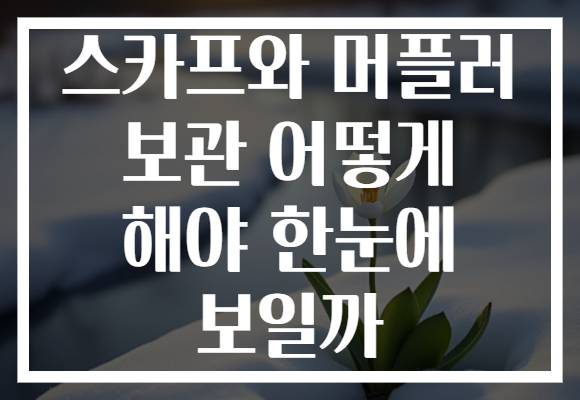 스카프와 머플러 보관 어떻게 해야 한눈에 보일까