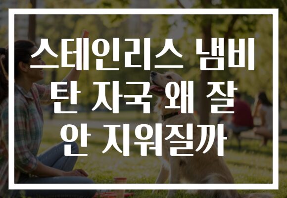 스테인리스 냄비 탄 자국 왜 잘 안 지워질까