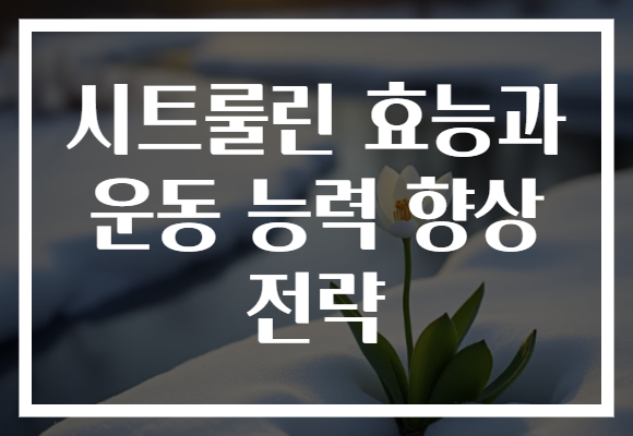 시트룰린 효능과 운동 능력 향상 전략