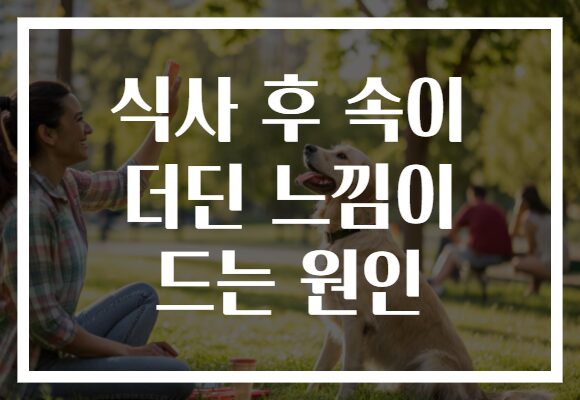 식사 후 속이 더딘 느낌이 드는 원인