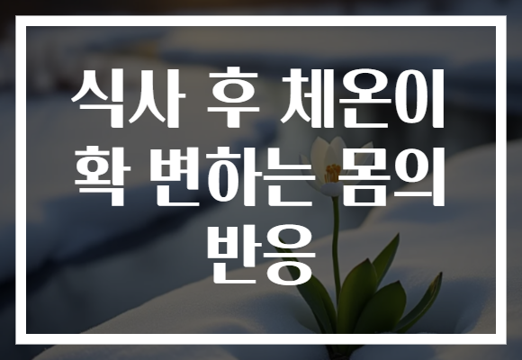 식사 후 체온이 확 변하는 몸의 반응 식사 후 체온이 확 변하는 몸의 반응