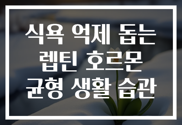 식욕 억제 돕는 렙틴 호르몬 균형 생활 습관