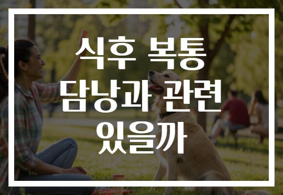 식후 복통 담낭과 관련 있을까 식후 복통 담낭과 관련 있을까
