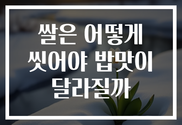 쌀은 어떻게 씻어야 밥맛이 달라질까 쌀은 어떻게 씻어야 밥맛이 달라질까