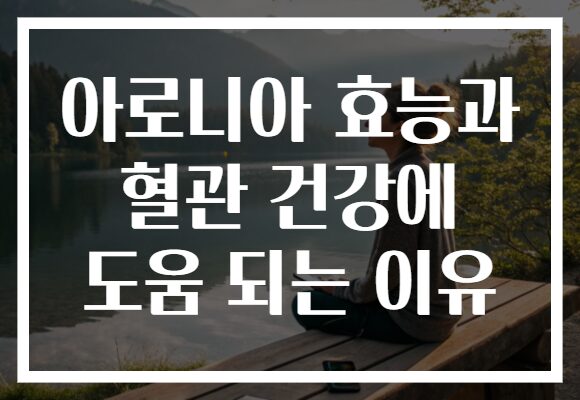 아로니아 효능과 혈관 건강에 도움 되는 이유