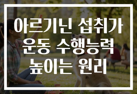 아르기닌 섭취가 운동 수행능력 높이는 원리