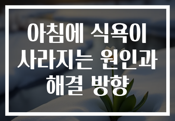 아침에 식욕이 사라지는 원인과 해결 방향