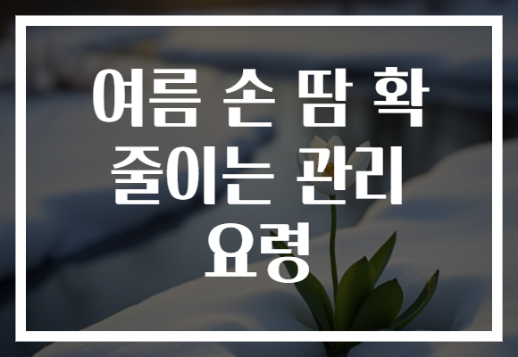 여름 손 땀 확 줄이는 관리 요령