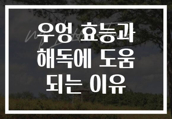 우엉 효능과 해독에 도움 되는 이유