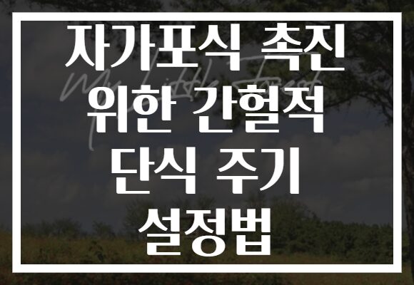 자가포식 촉진 위한 간헐적 단식 주기 설정법