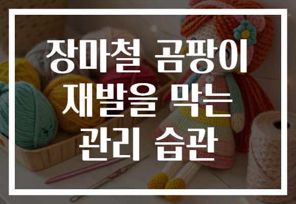 장마철 곰팡이 재발을 막는 관리 습관