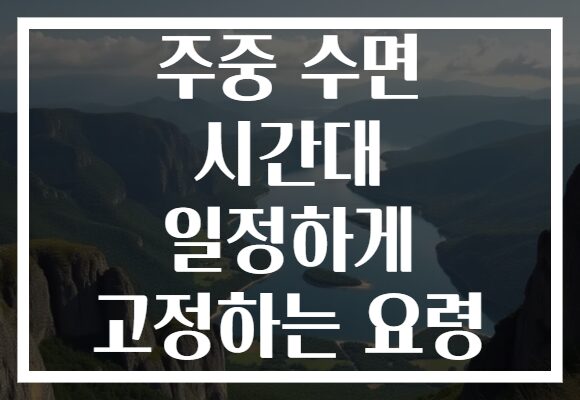 주중 수면 시간대 일정하게 고정하는 요령 주중 수면 시간대 일정하게 고정하는 요령