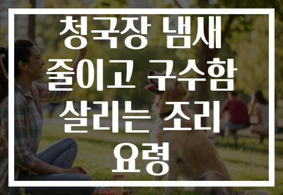 청국장 냄새 줄이고 구수함 살리는 조리 요령 청국장 냄새 줄이고 구수함 살리는 조리 요령