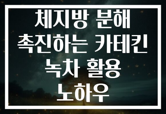 체지방 분해 촉진하는 카테킨 녹차 활용 노하우 체지방 분해 촉진하는 카테킨 녹차 활용 노하우