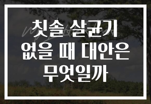 칫솔 살균기 없을 때 대안은 무엇일까