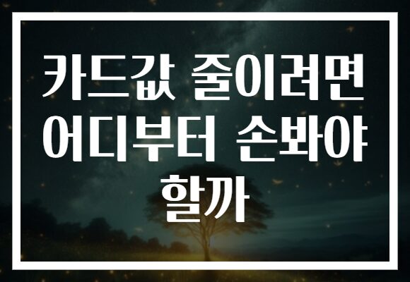 카드값 줄이려면 어디부터 손봐야 할까