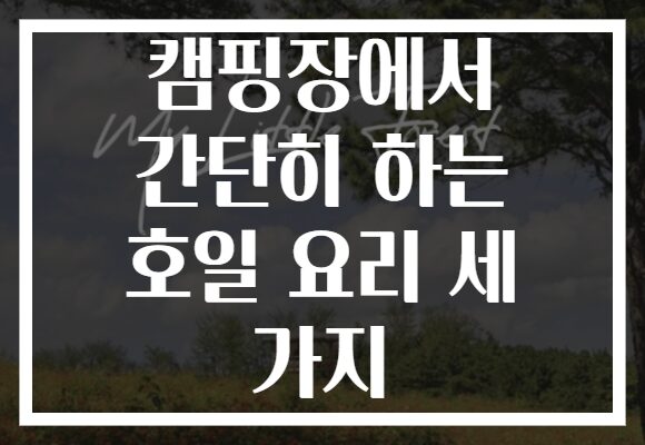 캠핑장에서 간단히 하는 호일 요리 세 가지