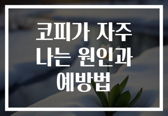 코피가 자주 나는 원인과 예방법