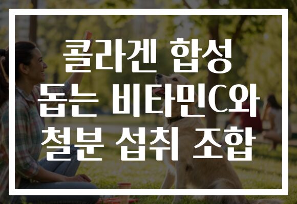 콜라겐 합성 돕는 비타민C와 철분 섭취 조합