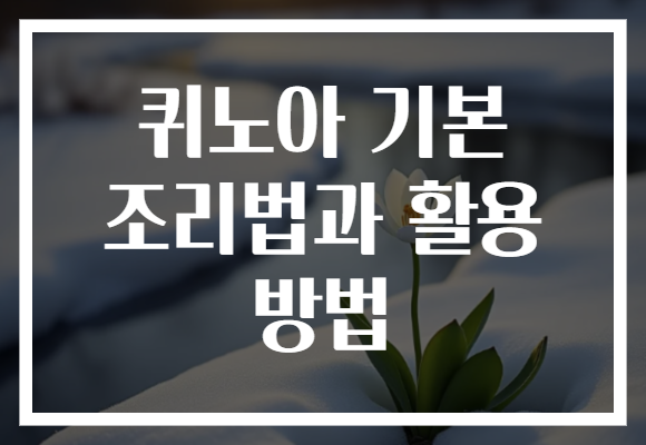 퀴노아 기본 조리법과 활용 방법