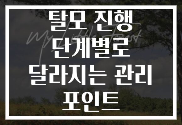 탈모 진행 단계별로 달라지는 관리 포인트 탈모 진행 단계별로 달라지는 관리 포인트