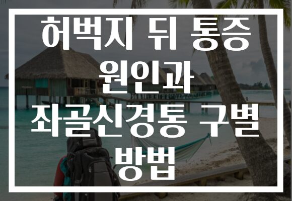 허벅지 뒤 통증 원인과 좌골신경통 구별 방법 허벅지 뒤 통증 원인과 좌골신경통 구별 방법