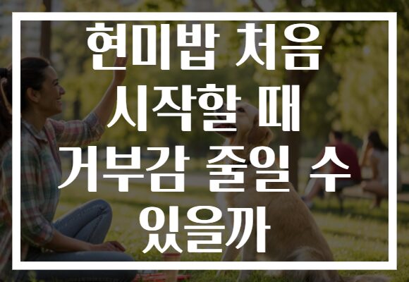현미밥 처음 시작할 때 거부감 줄일 수 있을까