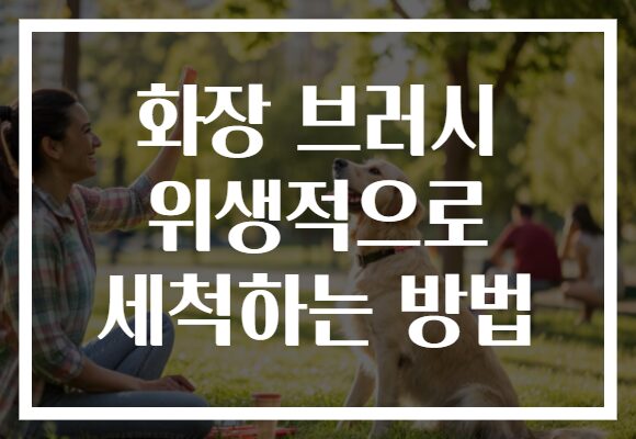 화장 브러시 위생적으로 세척하는 방법 화장 브러시 위생적으로 세척하는 방법