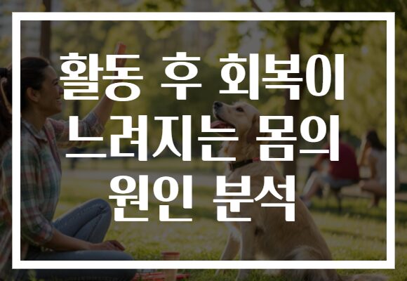 활동 후 회복이 느려지는 몸의 원인 분석