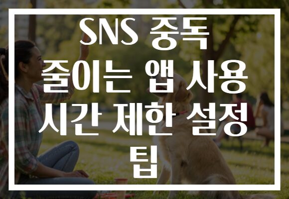 SNS 중독 줄이는 앱 사용 시간 제한 설정 팁
