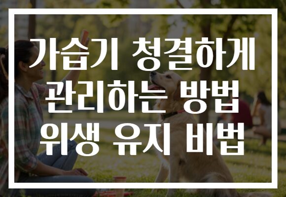 가습기 청결하게 관리하는 방법 위생 유지 비법