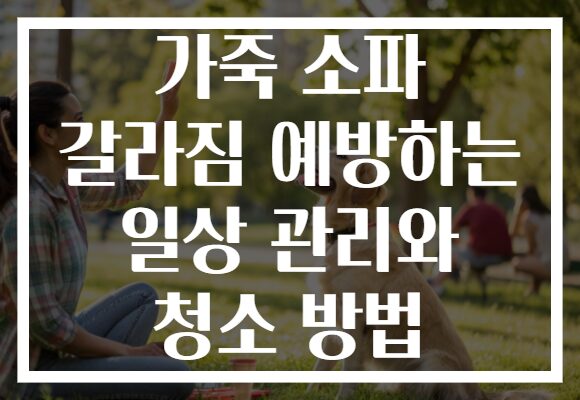 가죽 소파 갈라짐 예방하는 일상 관리와 청소 방법