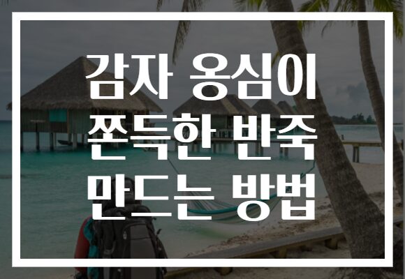 감자 옹심이 쫀득한 반죽 만드는 방법 감자 옹심이 쫀득한 반죽 만드는 방법