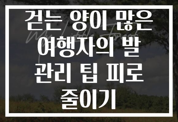 걷는 양이 많은 여행자의 발 관리 팁 피로 줄이기 걷는 양이 많은 여행자의 발 관리 팁 피로 줄이기