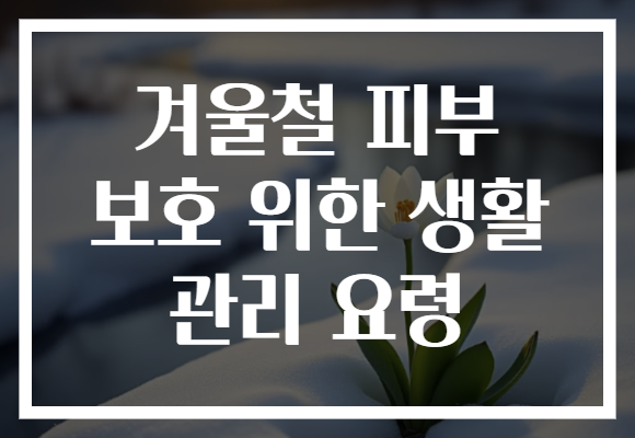 겨울철 피부 보호 위한 생활 관리 요령