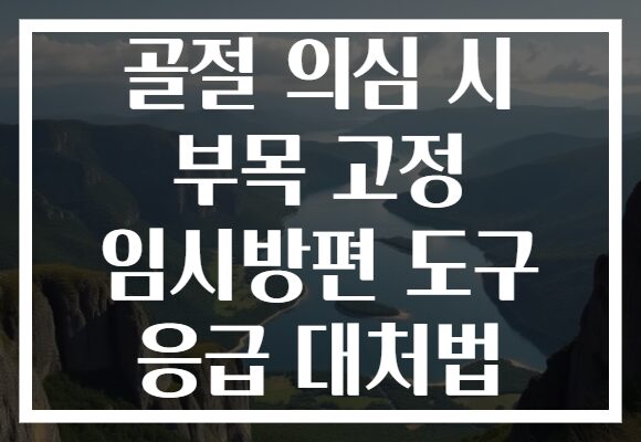 골절 의심 시 부목 고정 임시방편 도구 응급 대처법