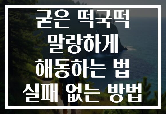 굳은 떡국떡 말랑하게 해동하는 법 실패 없는 방법 굳은 떡국떡 말랑하게 해동하는 법 실패 없는 방법