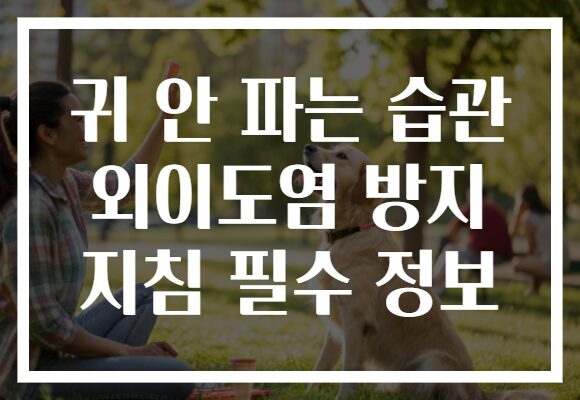 귀 안 파는 습관 외이도염 방지 지침 필수 정보